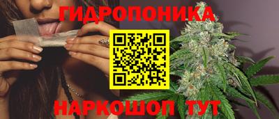 гидра Партизанск