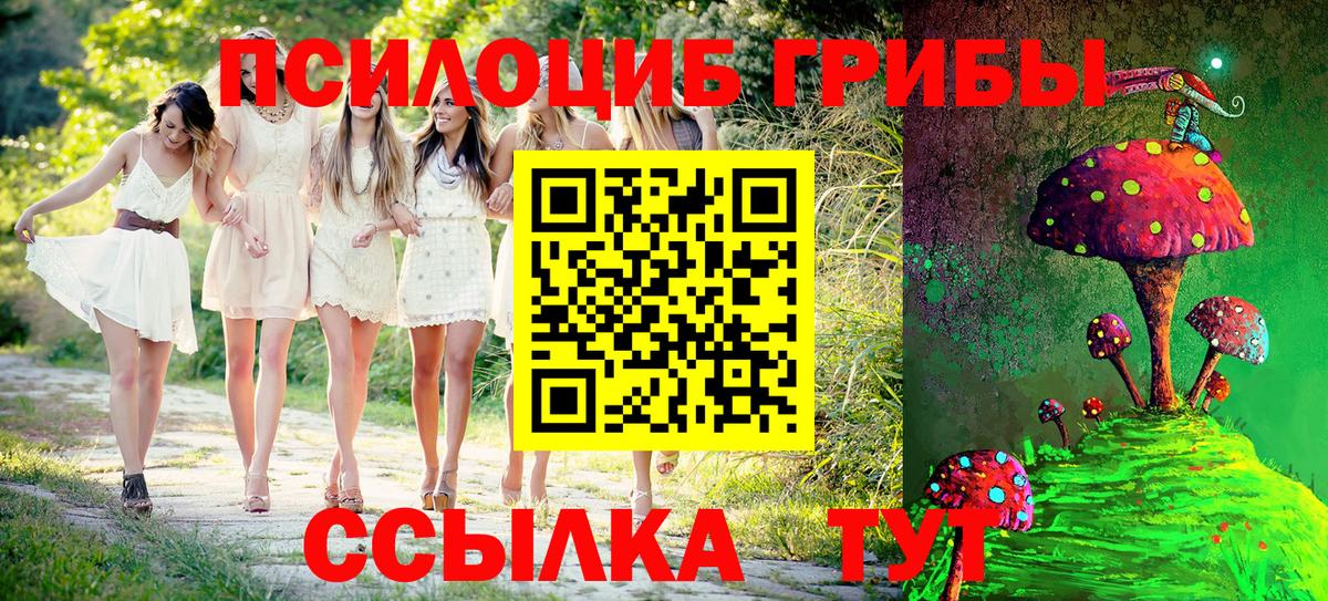 Псилоцибиновые грибы MAGIC MUSHROOMS Новотроицк