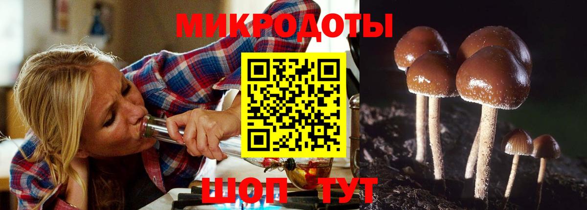 Галлюциногенные грибы мухоморы  Галлюциногенные грибы Magic Shrooms  Вход с VPN  Новотроицк 